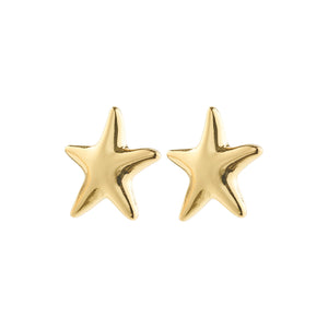 Force Earrings