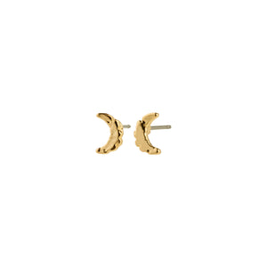 Between Earrings