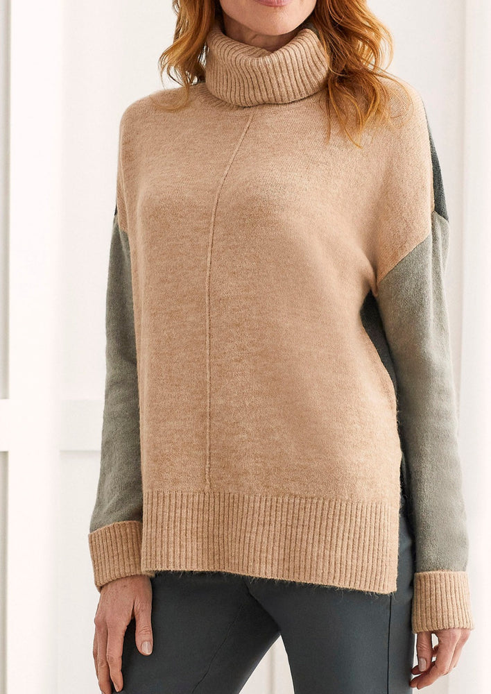 
            
                Load image into Gallery viewer, Dianna Turtle Neck
            
        