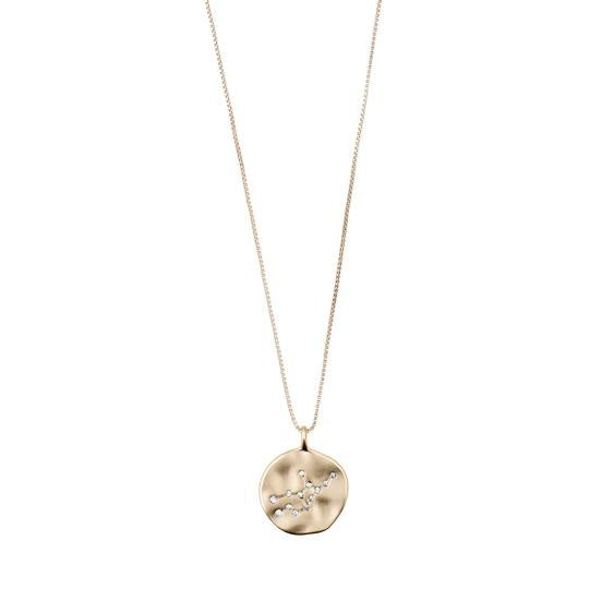 
            
                Load image into Gallery viewer, Zodiac Sign Coin Necklace
            
        